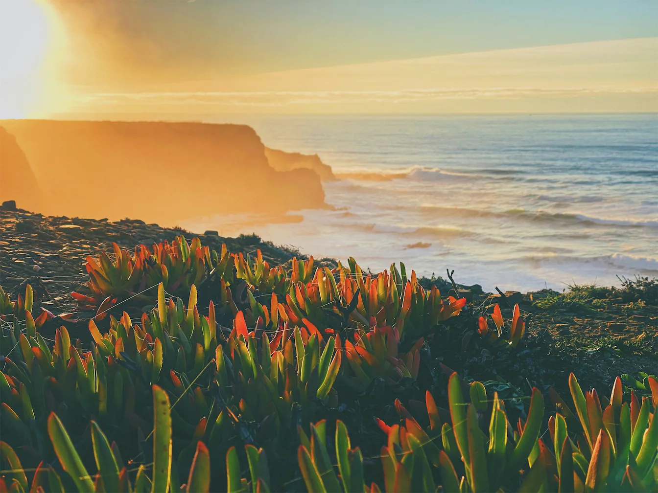 A vibrant coastal sunset scene along the Algarve, with cliffs illuminated by the golden light. Experience the beauty of the Algarve’s coast with ShinTours luxury tours, offering sun-soaked retreats and premium beach experiences.